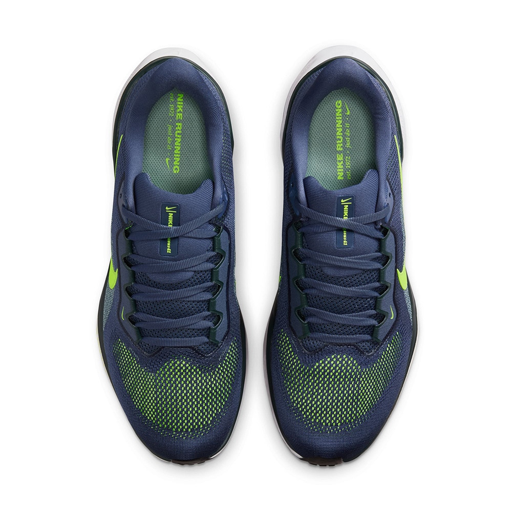 ナイキ（NIKE）（メンズ）ランニングシューズ ジョギングシューズ エア ズーム ペガサス 41 パープル グリーン FD2722-501