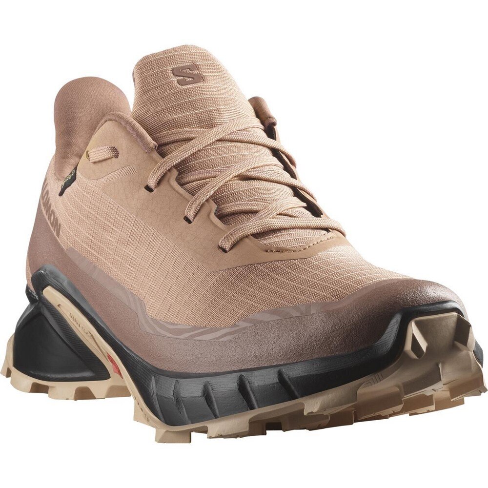 サロモン（SALOMON）（レディース）ランニングシューズ トレランシューズ ALPHACROSS 5 GTX W L47595100