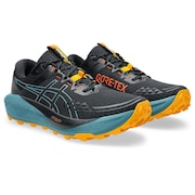 (メンズ)ランニングシューズ トレランシューズ GEL-Trabuco 13 GTX 1011B978.001