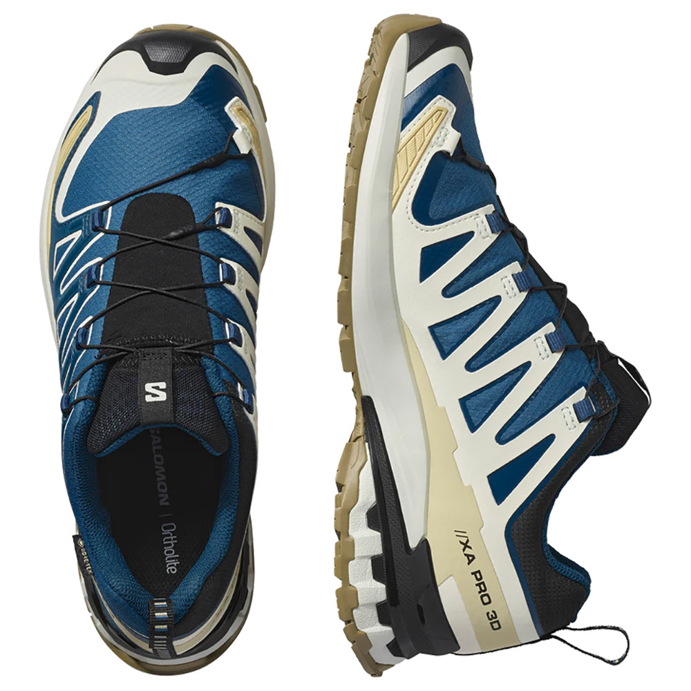 サロモン（SALOMON）（メンズ）ランニングシューズ トレランシューズ XA PRO 3D V9 ゴアテックス L47817400