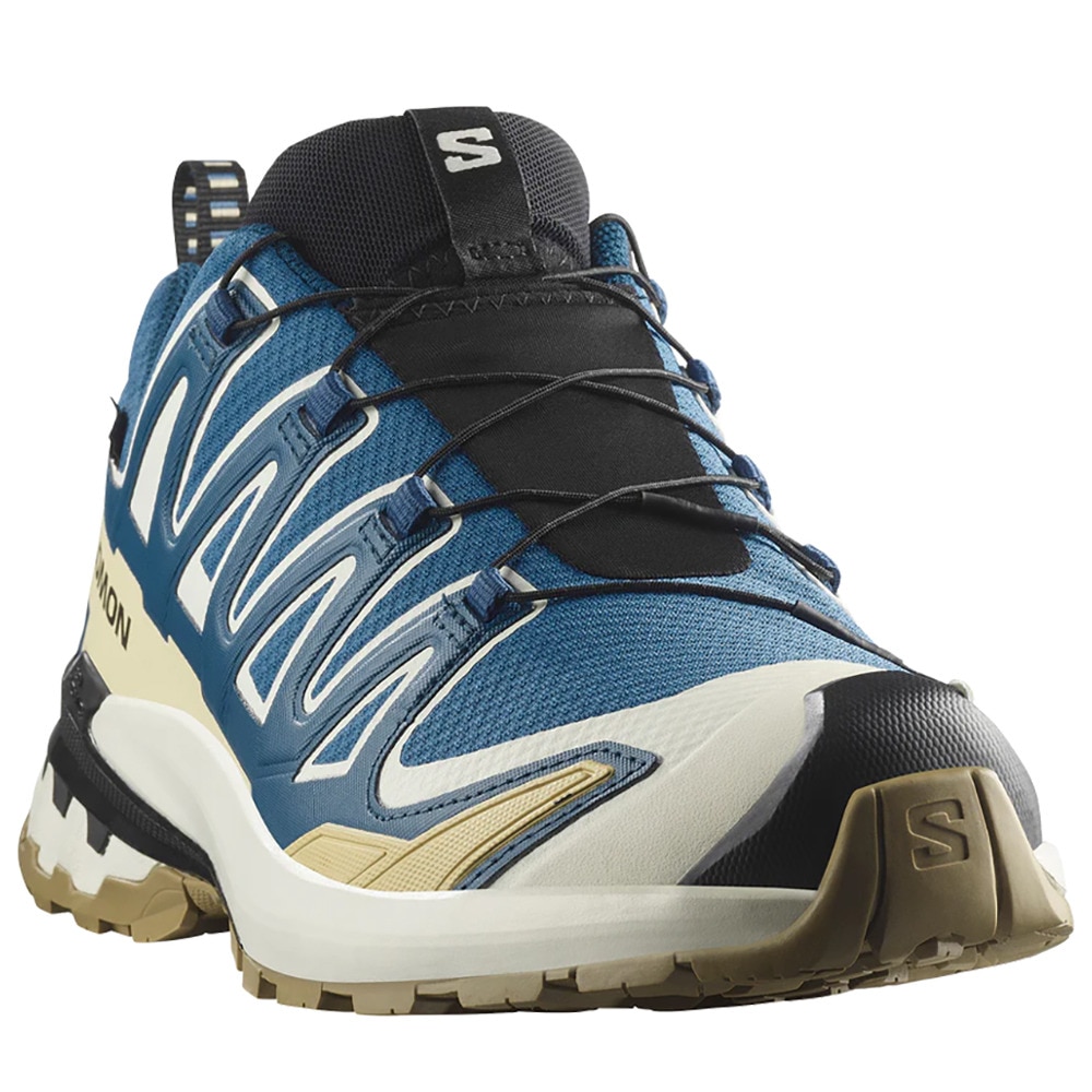 サロモン（SALOMON）（メンズ）ランニングシューズ トレランシューズ XA PRO 3D V9 ゴアテックス L47817400