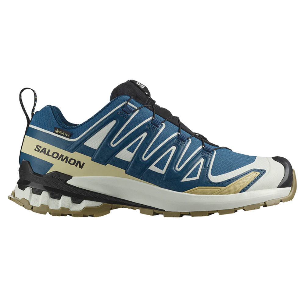 サロモン（SALOMON）（メンズ）ランニングシューズ トレランシューズ XA PRO 3D V9 ゴアテックス L47817400