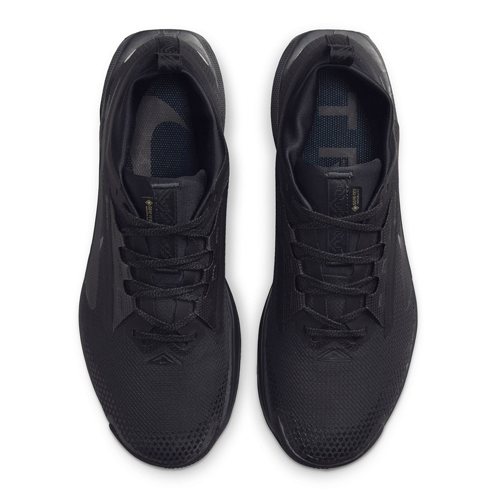 ナイキ（NIKE）（メンズ）ランニングシューズ トレランシューズ ペガサス トレイル 5 GORE-TEX FQ0908-002