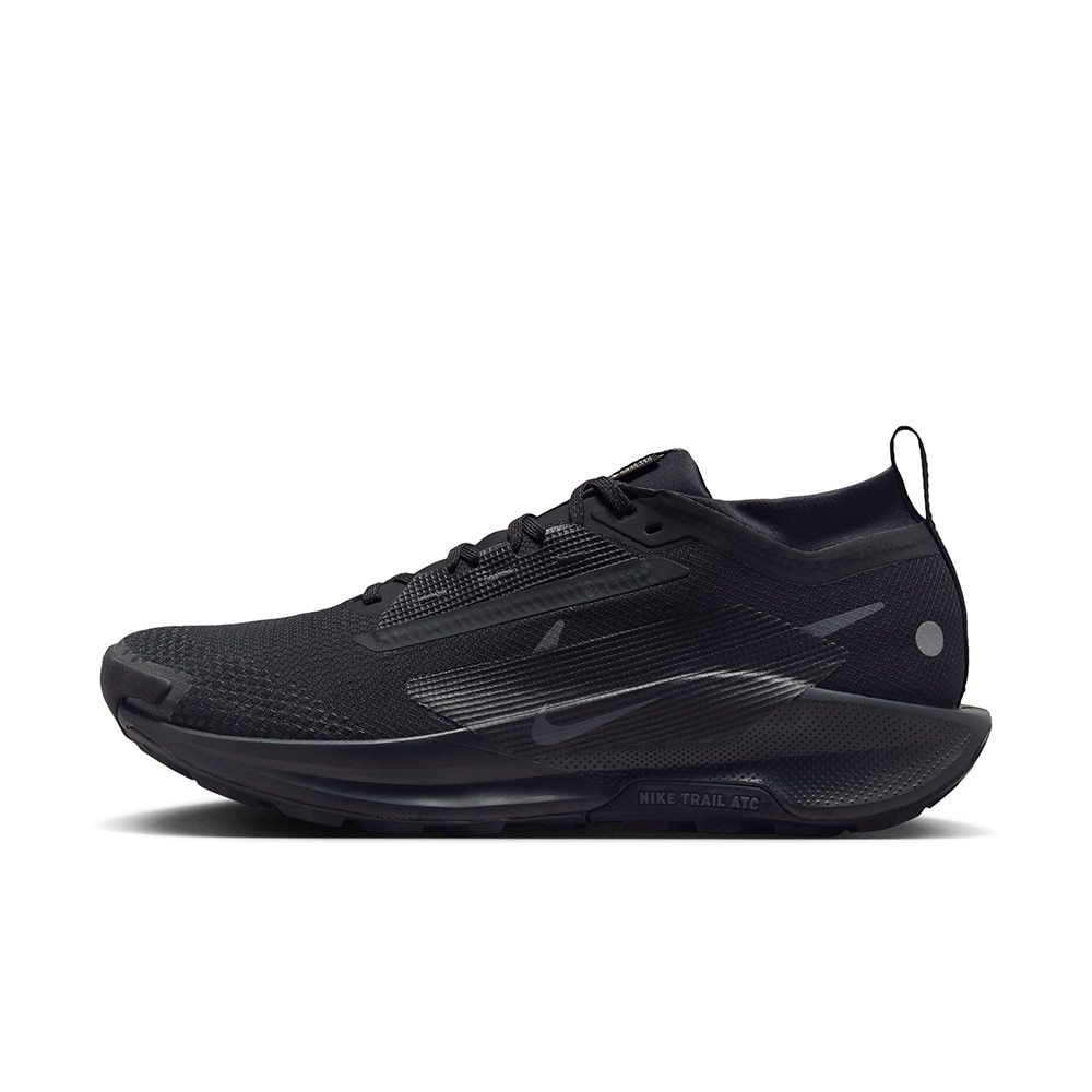 ナイキ（NIKE）（メンズ）ランニングシューズ トレランシューズ ペガサス トレイル 5 GORE-TEX FQ0908-002