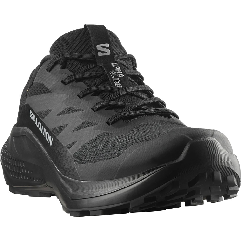 サロモン（SALOMON）（メンズ）ランニングシューズ トレランシューズ ALPHAGLIDE GTX L47802100