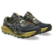 (メンズ)ランニングシューズ トレランシューズ GEL-Trabuco 13 ゴアテックス 1011B978.003
