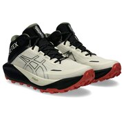 (メンズ)ランニングシューズ トレランシューズ GEL-Trabuco MT ゴアテックス 1012B864.250
