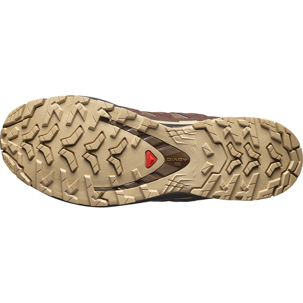 サロモン（SALOMON）（メンズ）ランニングシューズ トレランシューズ エックスエー プロ 3D V9 ゴアテックス ブラウン L47881800 スニーカー
