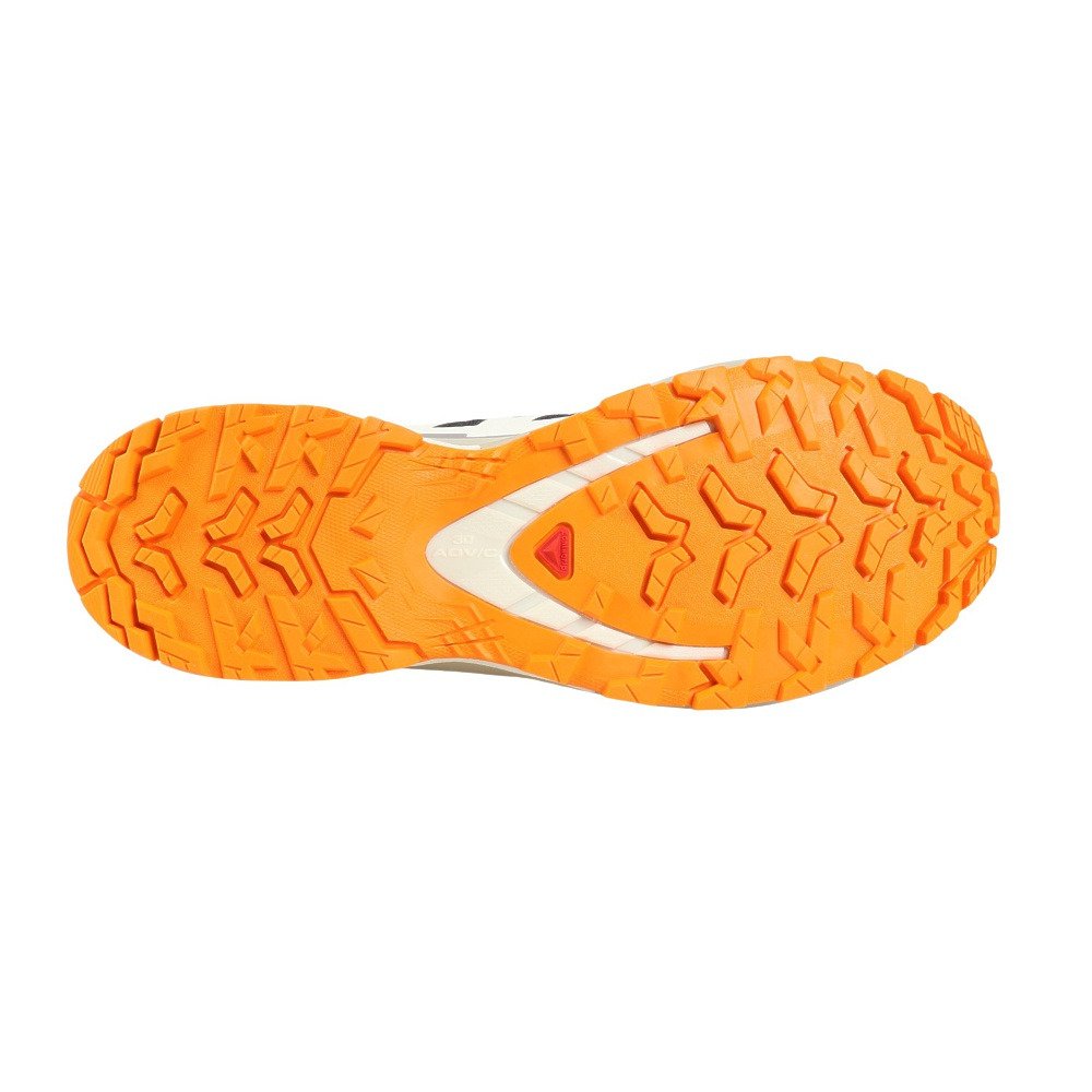 サロモン（SALOMON）（メンズ）ランニングシューズ トレランシューズ エックスエー プロ 3D V9 ゴアテックス ブラック L47881900 スニーカー