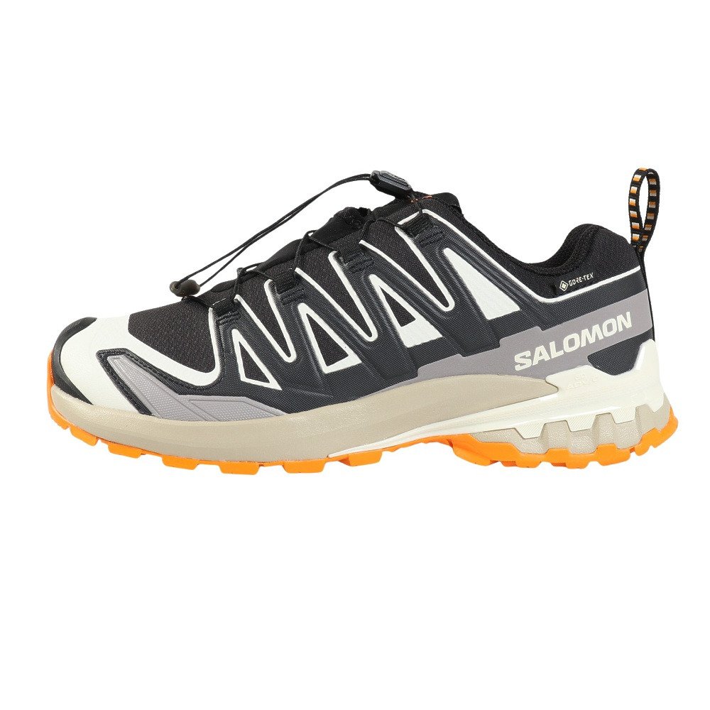 サロモン（SALOMON）（メンズ）ランニングシューズ トレランシューズ エックスエー プロ 3D V9 ゴアテックス ブラック L47881900 スニーカー