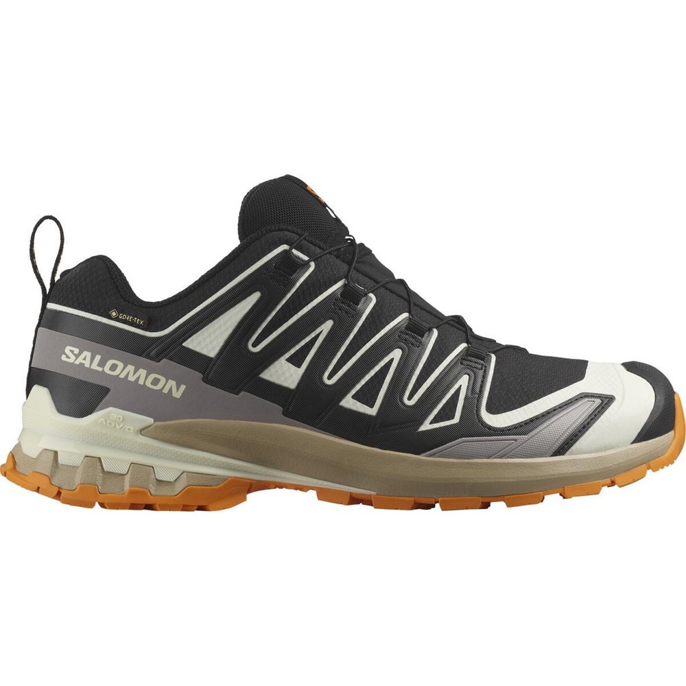 サロモン（SALOMON）（メンズ）ランニングシューズ トレランシューズ エックスエー プロ 3D V9 ゴアテックス ブラック L47881900 スニーカー