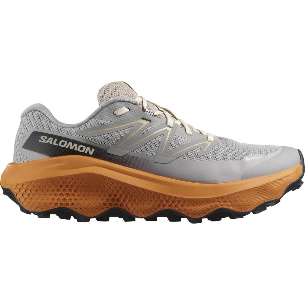 サロモン（SALOMON）（メンズ）ランニングシューズ トレランシューズ ウルトラ フロー 2 ゴアテックス グレー L47884200 スニーカー