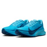 ナイキ（NIKE）（メンズ）ランニングシューズ トレランシューズ ACG 