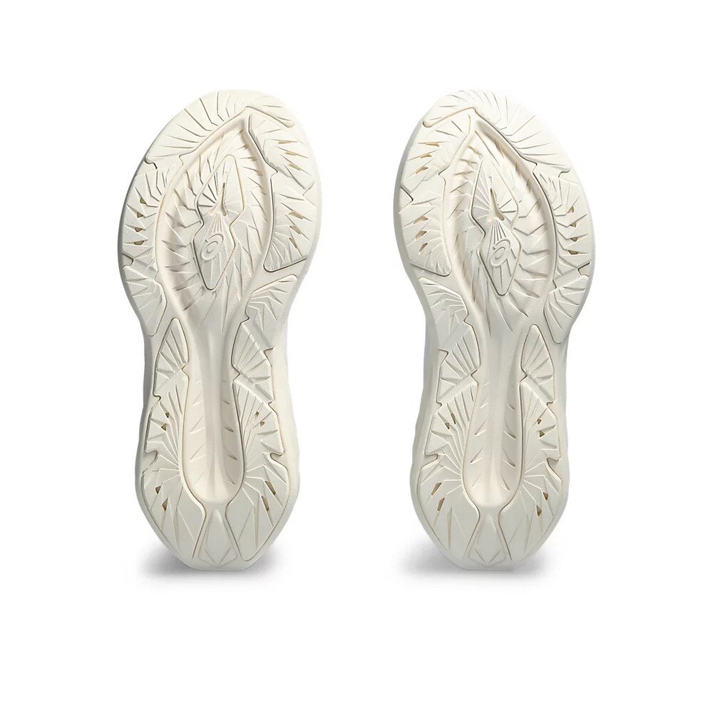 アシックス（ASICS）（レディース）ランニングシューズ ジョギングシューズ NOVABLAST 4 1012B510.102