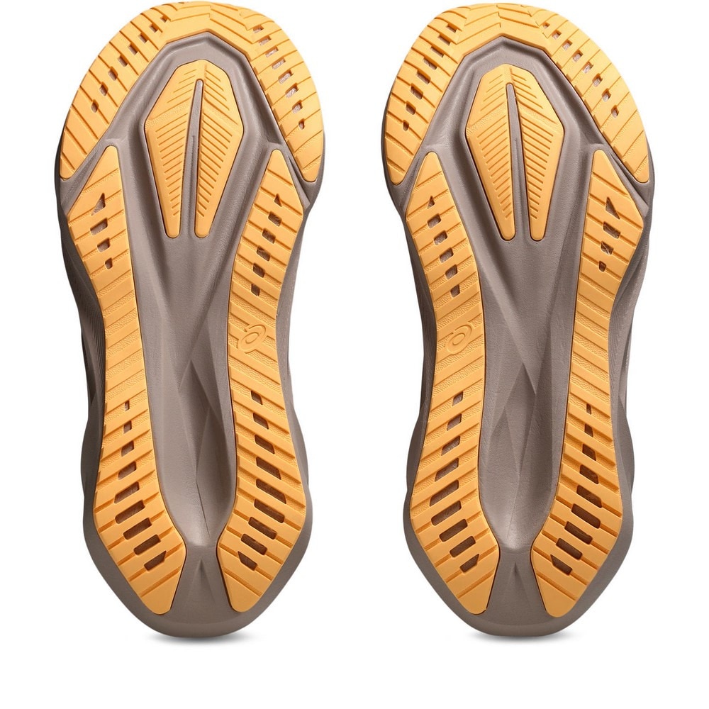 アシックス（ASICS）（レディース）【先行予約商品】 ランニングシューズ ジョギングシューズ NOVABLAST 5 WIDE 1012B766.102 ノヴァブラスト 5