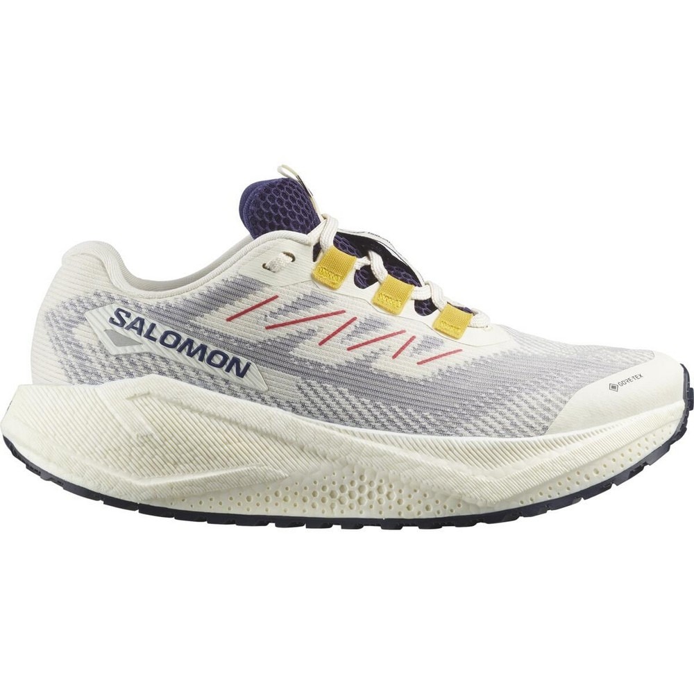 サロモン（SALOMON）（レディース）ランニングシューズ ジョギングシューズ エアロ ブレイズ 3 グラベル GT ベージュ L47974100 スニーカー
