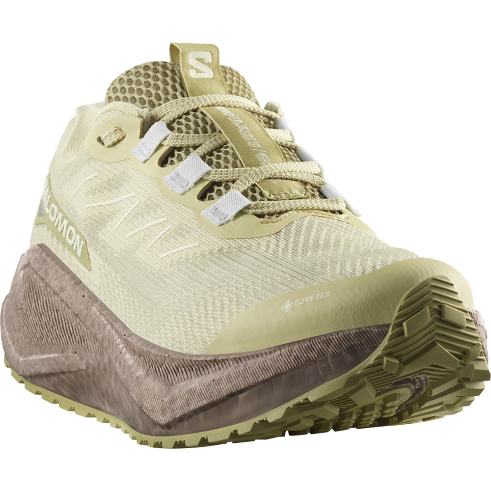 サロモン（SALOMON）（レディース）ランニングシューズ ジョギングシューズ エアロ ブレイズ 3 グラベル GT グリーン L47978400 スニーカー