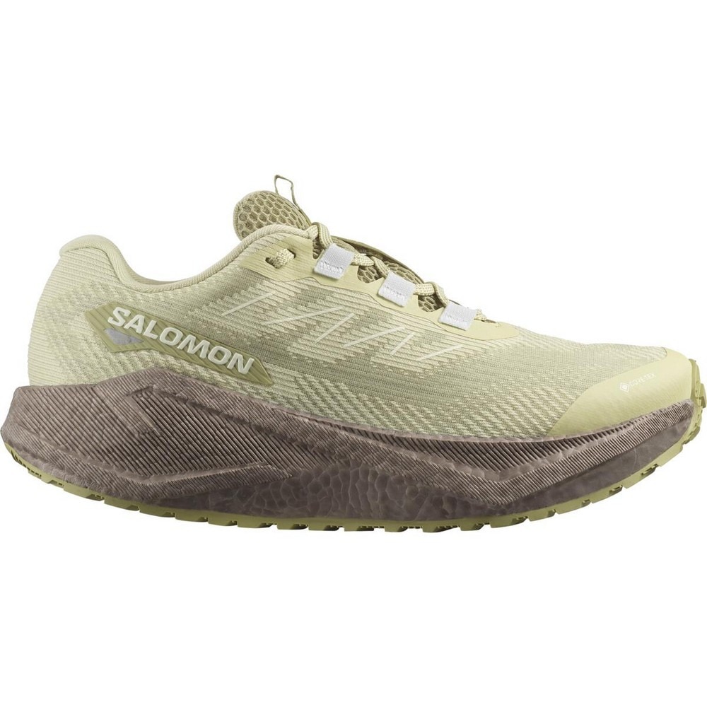 サロモン（SALOMON）（レディース）ランニングシューズ ジョギングシューズ エアロ ブレイズ 3 グラベル GT グリーン L47978400 スニーカー