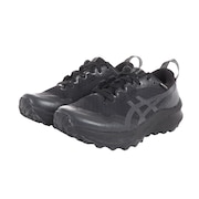 (レディース)ランニングシューズ トレランシューズ GEL-Trabuco 12 GTX 1012B607.002