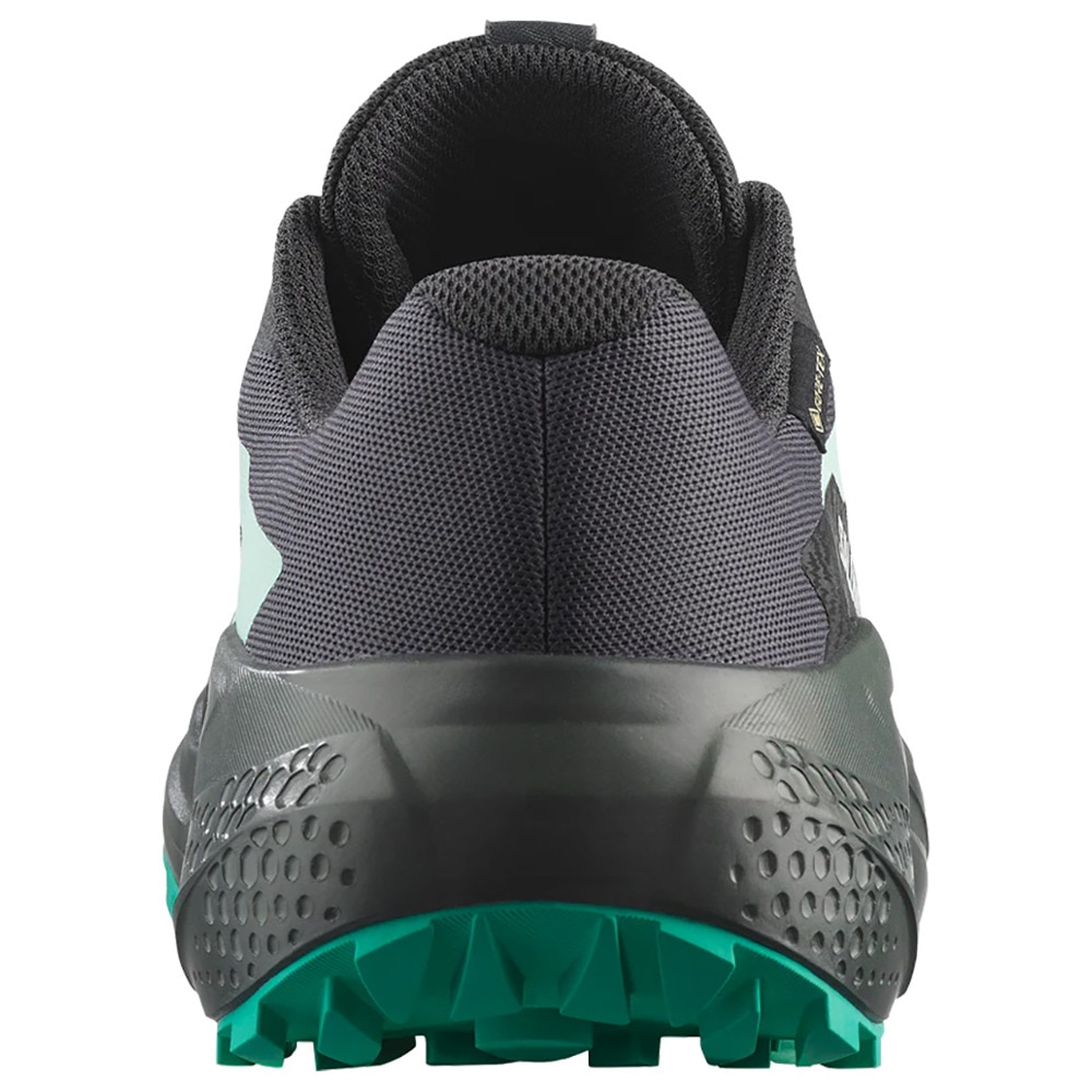 サロモン（SALOMON）（レディース）ランニングシューズ トレランシューズ ALPHAGLIDE ゴアテックス L47802400