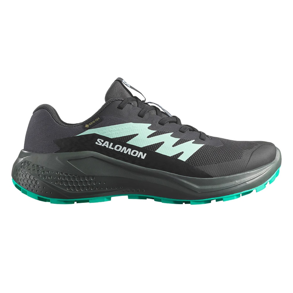 サロモン（SALOMON）（レディース）ランニングシューズ トレランシューズ ALPHAGLIDE ゴアテックス L47802400