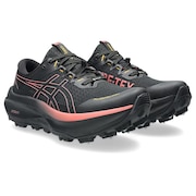 (レディース)ランニングシューズ トレランシューズ FUJISETSU MAX GTX 1012B893.001