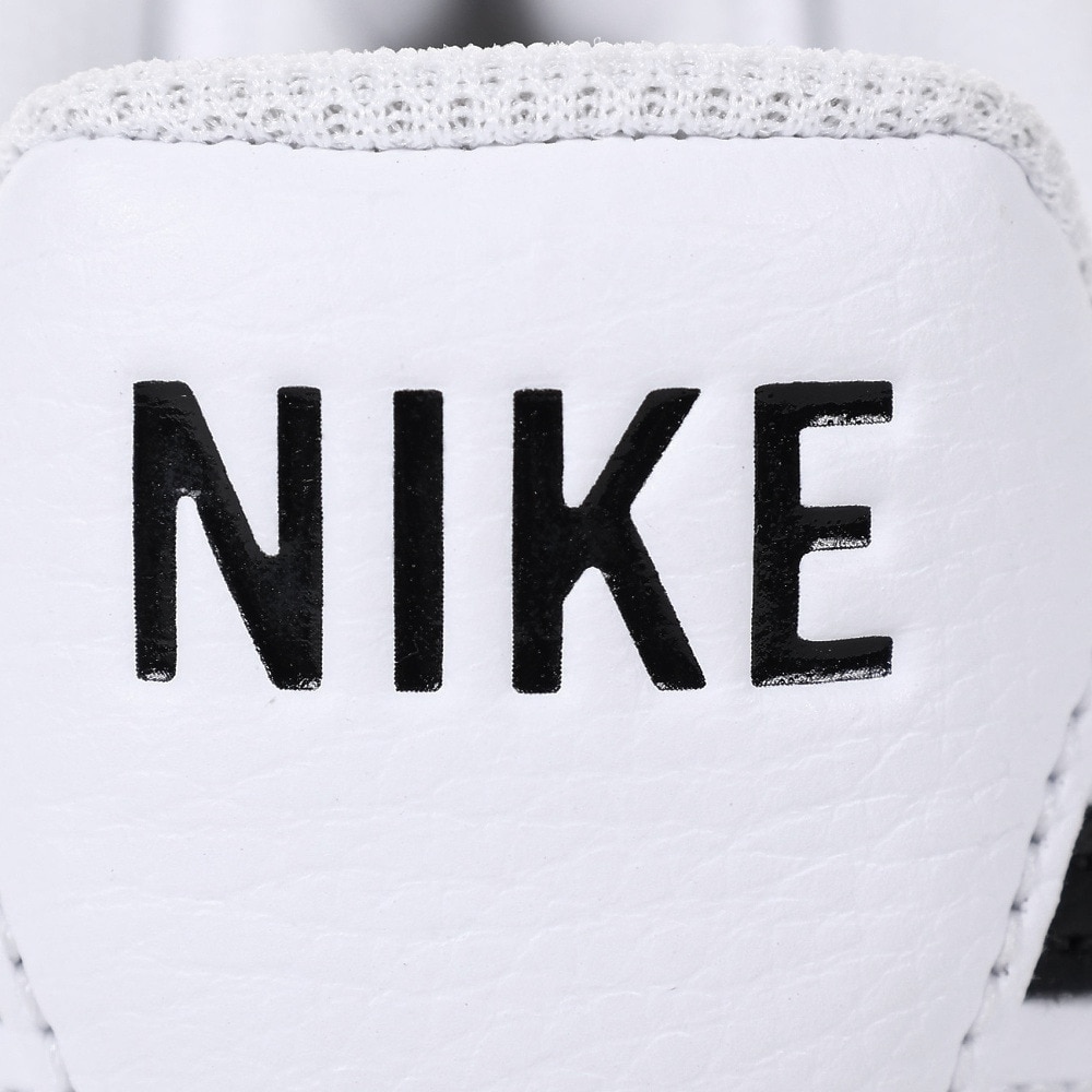 ナイキ（NIKE）（メンズ）スニーカー スポーツシューズ コート ビジョン ロー ネクスト ネイチャー DH2987-101
