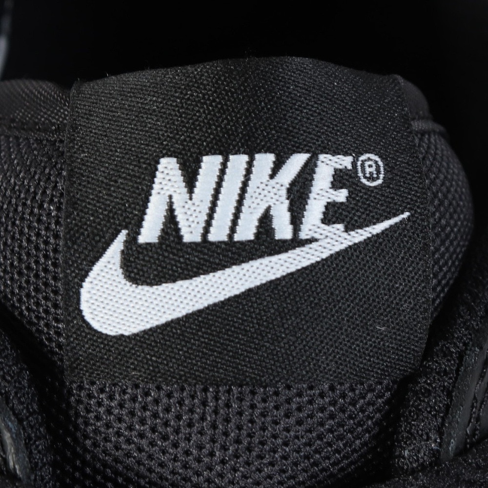 ナイキ（NIKE）（メンズ）スニーカー スポーツシューズ ビッグLOW 355152-016
