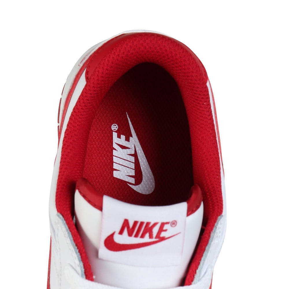 ナイキ（NIKE）（メンズ）スニーカー スポーツシューズ ビッグLOW 355152-150