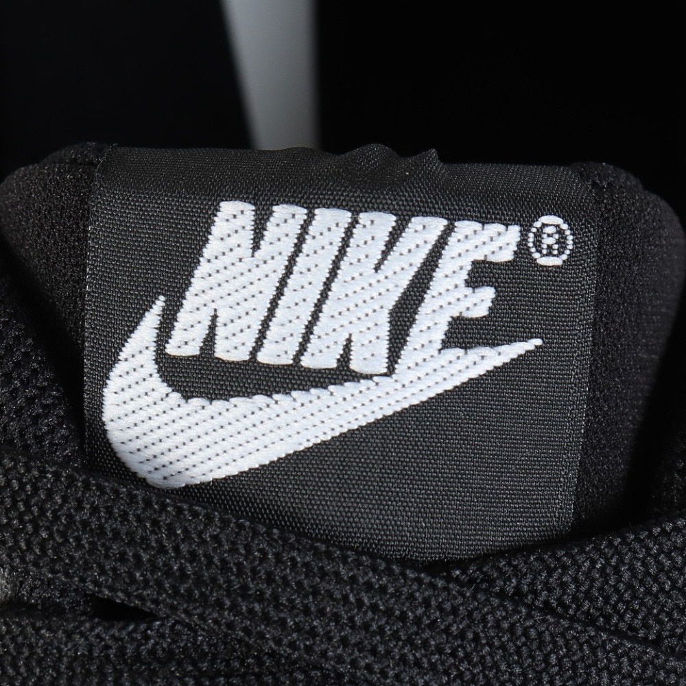 ナイキ（NIKE）（メンズ）スニーカー スポーツシューズ テラ マンタ HQ4502-001