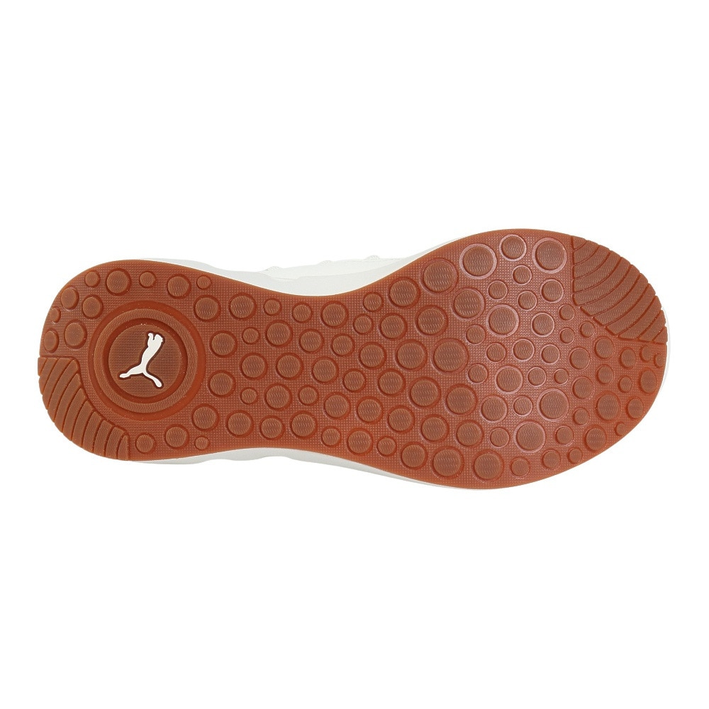 プーマ（PUMA）（レディース）スニーカー スポーツシューズ SOFTRIDE カーソン フレッシュ 31015505