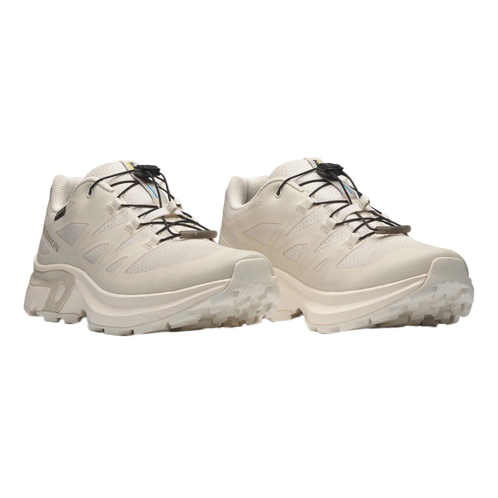 SALOMON �J�W���A���V���[�Y XT EVR �S�A�e�b�N�X W �x�[�W�� L49259200 �X�|�[�c �J�W���A�� �V���[�Y �h�� �Q�T�D�O 81 �V���[�Y