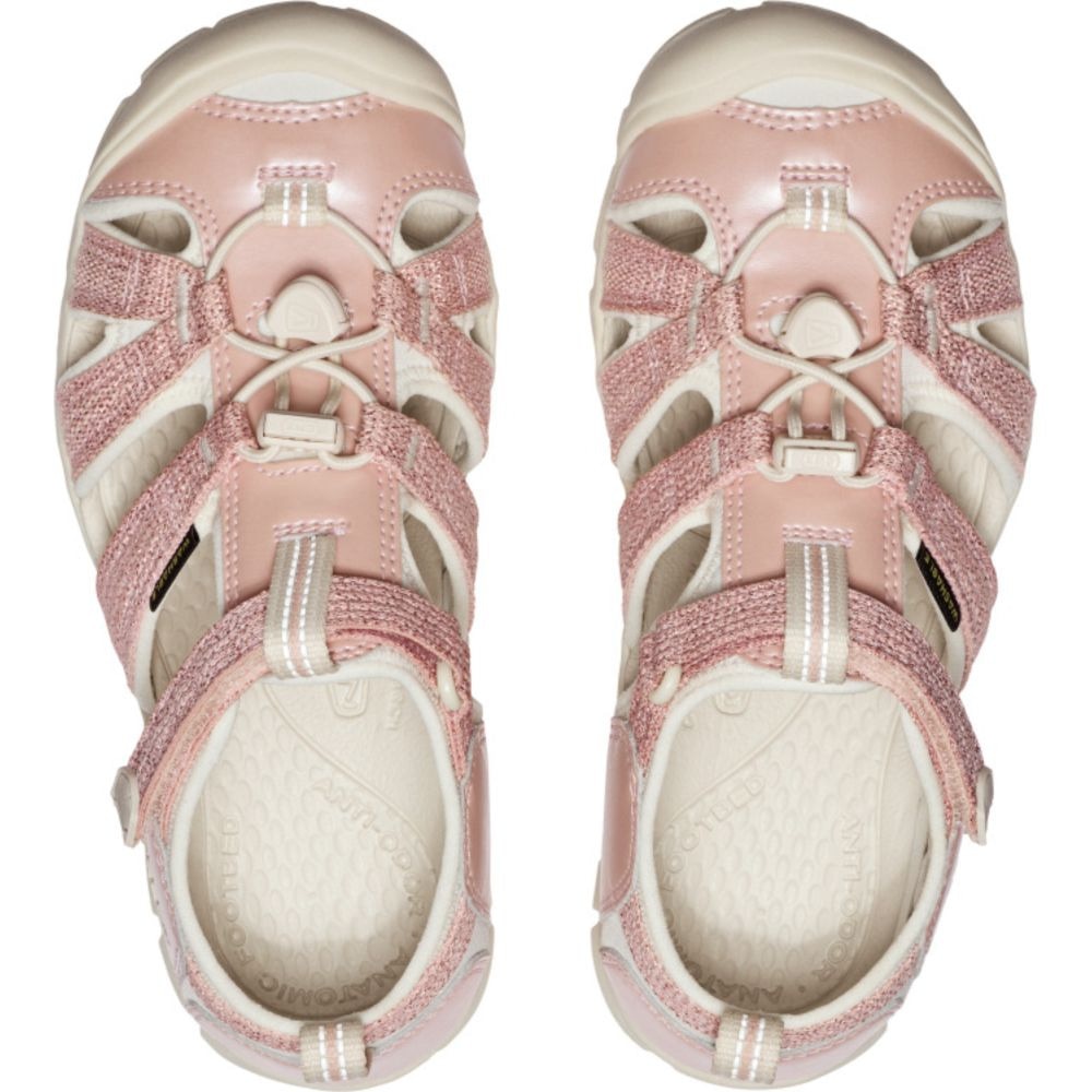 キーン（KEEN）（キッズ）ジュニアカジュアルシューズ SEACAMP II CNX 1030816