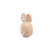 (メンズ、レディース、キッズ)ジビッツチャーム Gold Pineapple 10011124