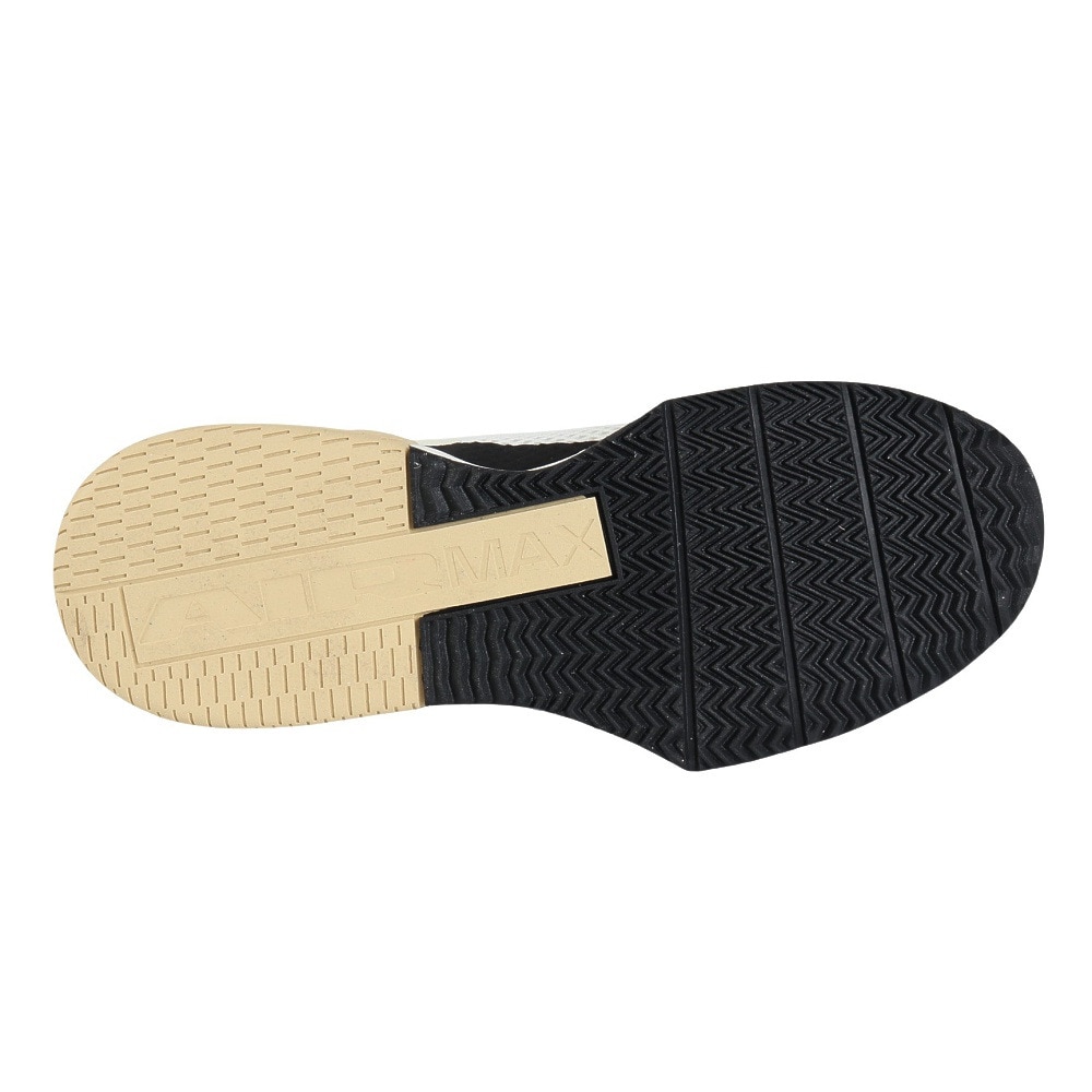 ナイキ（NIKE）（メンズ）ジムシューズ トレーニングシューズ エア マックス アルファ トレーナー 6 FQ1833-100