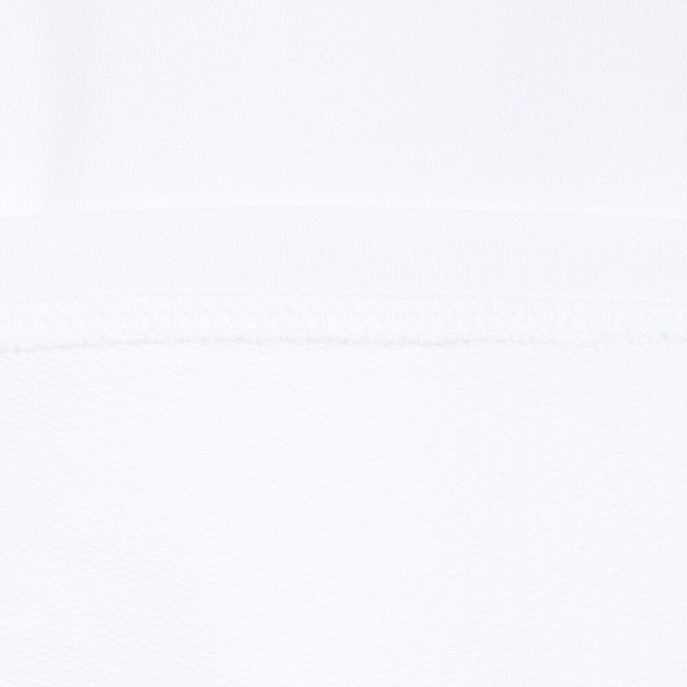 ナイキ（NIKE）（メンズ）ロングスリーブTシャツ IB7539-100