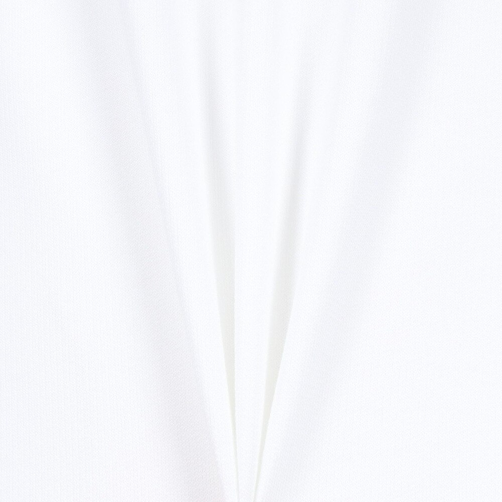 ナイキ（NIKE）（メンズ）ロングスリーブTシャツ IB7539-100