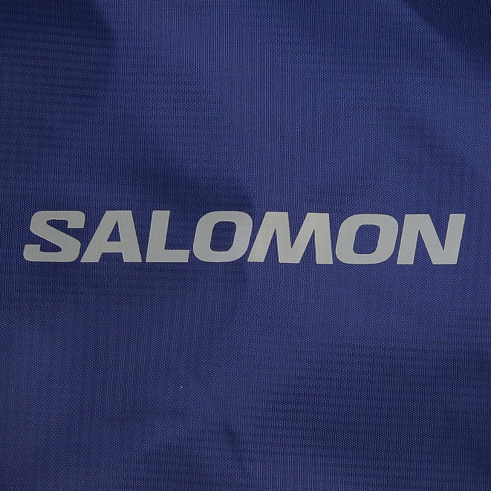 サロモン（SALOMON）（メンズ、レディース）ハイキングバッグ TRAIL BLAZER 10 LC2183000
