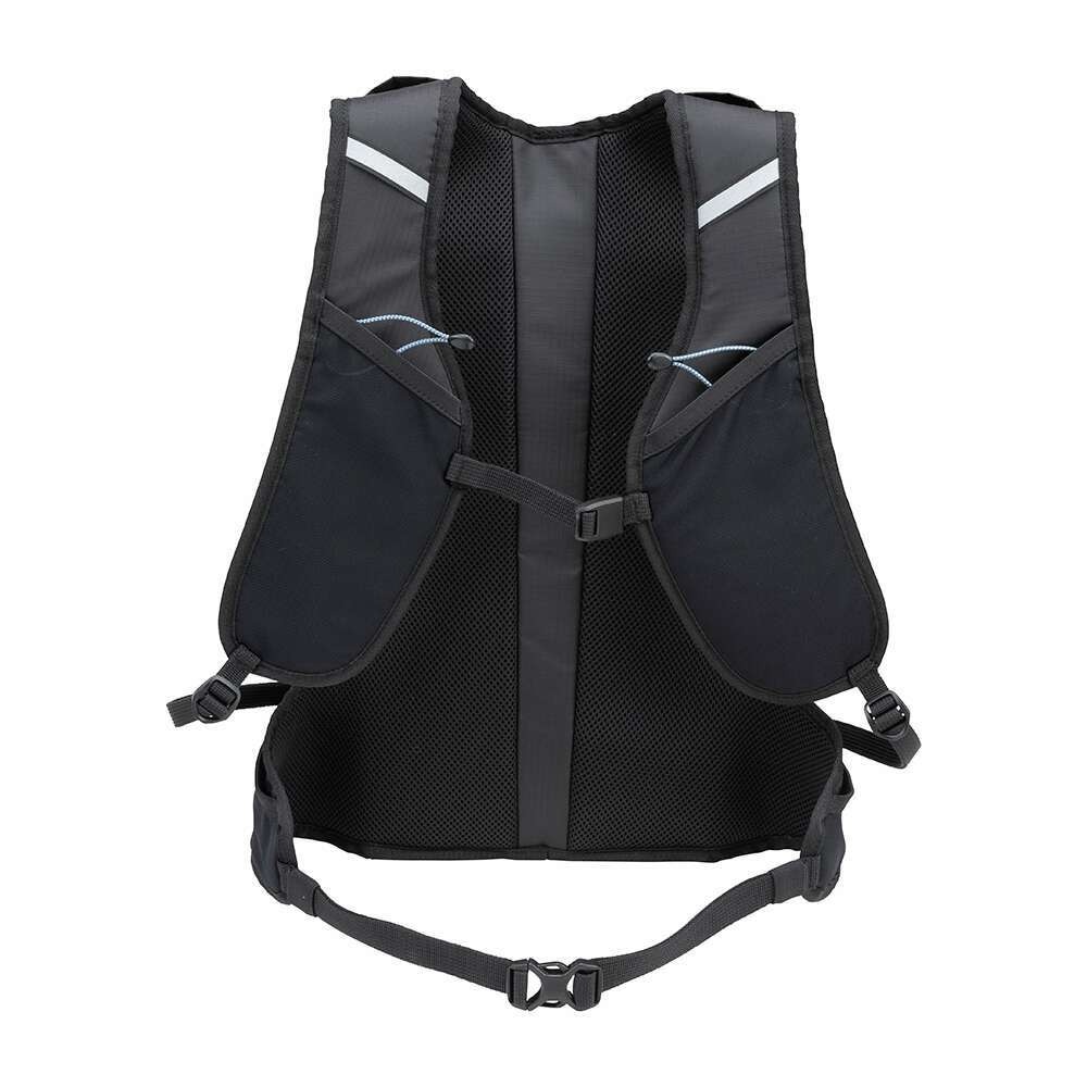 ミズノ（MIZUNO）（メンズ、レディース）バックパック 11L J3GDC01109
