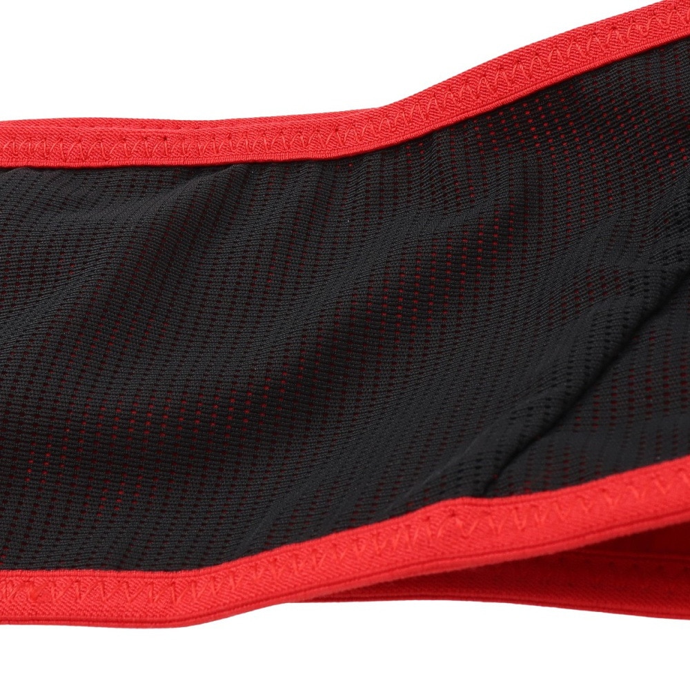 サロモン（SALOMON）（メンズ、レディース）ランニングウェストポーチ PULSE BELT LC2180000