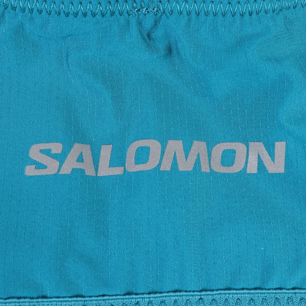 サロモン（SALOMON）（メンズ、レディース）PULSE ベルト LC2180100