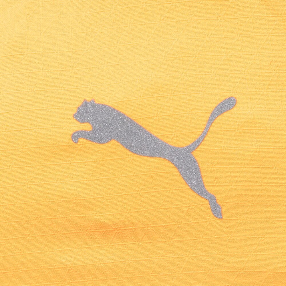プーマ（PUMA）（メンズ、レディース）クラシック ウエストバック 90425 06 ORG