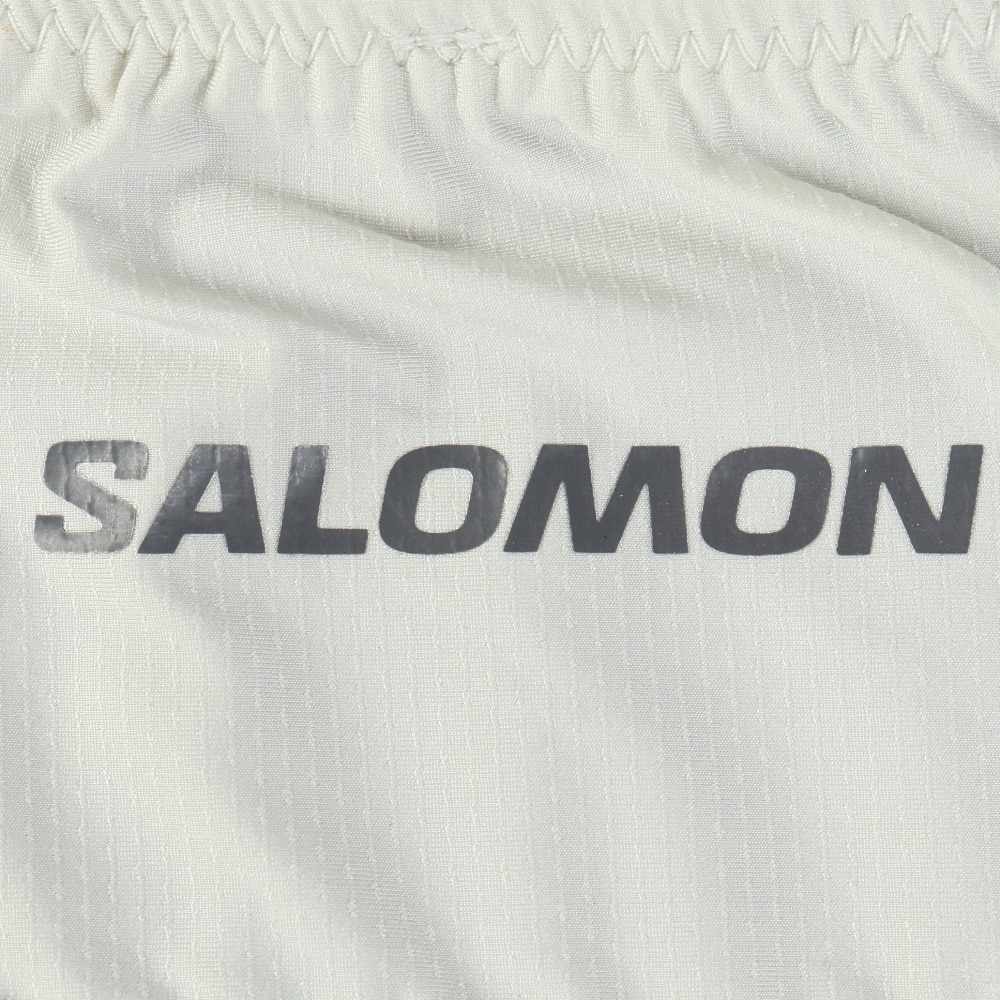 サロモン（SALOMON）（メンズ、レディース）ウエストポーチ PULSE BELT LC2711100