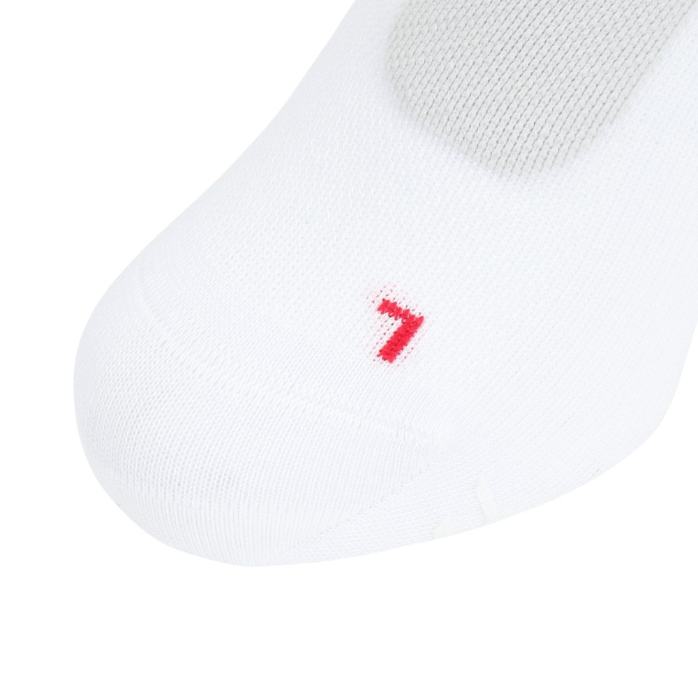 アシックス（ASICS）（メンズ、レディース）プロパッドターサーソックス 3013A966.100