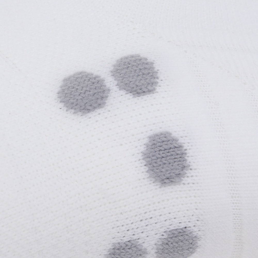 コンプレスポーツ（COMPRESSPORT）（メンズ、レディース、キッズ）プロレーシングソックス V4.0 ランロー XU00047B-WHAL