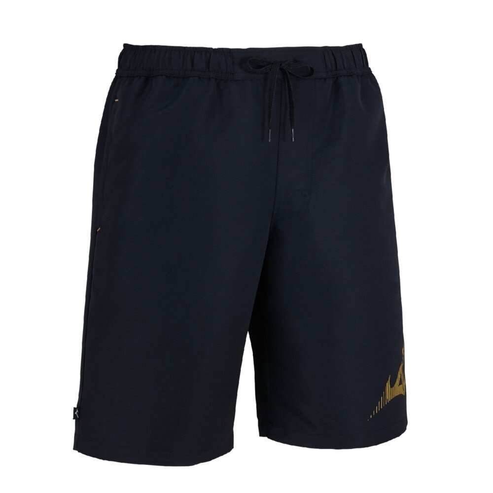 ミズノ（MIZUNO）（メンズ）水着 水泳 アクアフィットネス用 ウォーターショーツ インナー付き ブラック ゴールド S-3Lサイズ N2JBC10795
