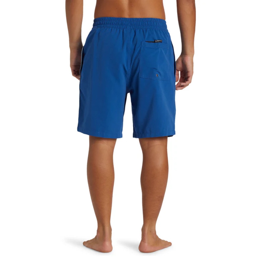 クイックシルバー（Quiksilver）（メンズ）水着 海水パンツ EVERYDAY VERT VOLLEY 19 ボードショーツ 24SPAQYJV03157BYC0