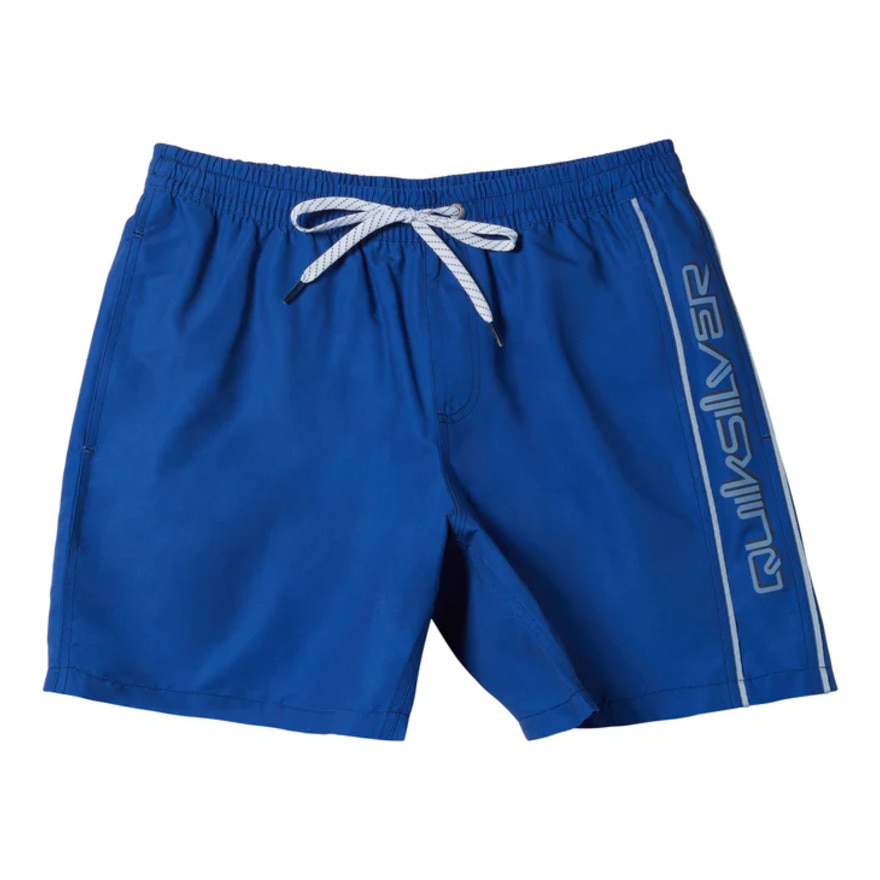 クイックシルバー（Quiksilver）（メンズ）水着 海水パンツ EVERYDAY VERT VOLLEY 19 ボードショーツ 24SPAQYJV03157BYC0