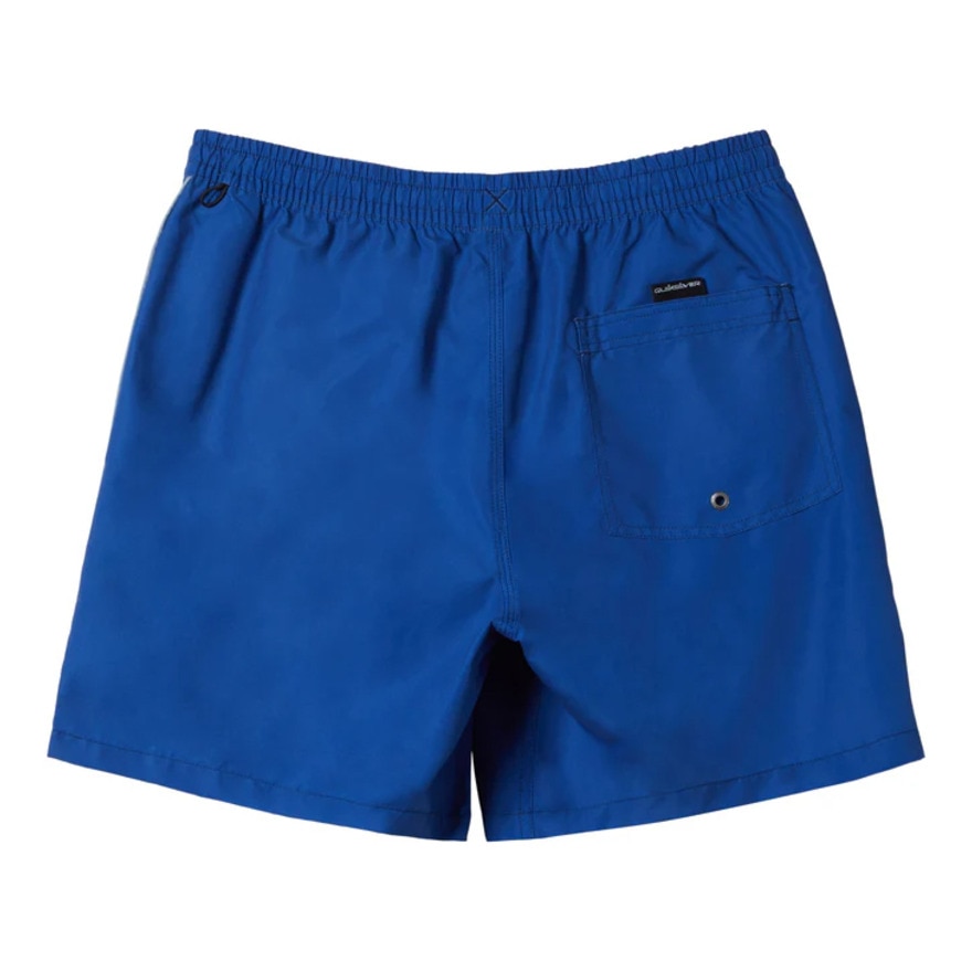 クイックシルバー（Quiksilver）（メンズ）水着 海水パンツ EVERYDAY VERT VOLLEY 19 ボードショーツ 24SPAQYJV03157BYC0