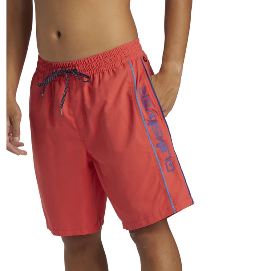 クイックシルバー（Quiksilver）（メンズ）水着 海水パンツ EVERYDAY VERT VOLLEY 19 ボードショーツ 24SPAQYJV03157RMC0